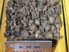 -上海昆虫博物馆