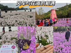 -顺峰山公园