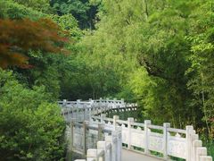 -天河潭旅游度假区