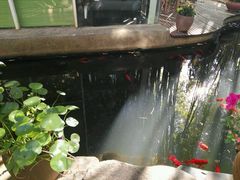 -新竹里馆·花园餐厅(兴苑路店)