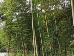 -韶关经律论国际酒店温泉