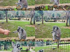 -南京金牛湖风景区