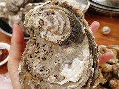 生蚝-船奇蒸汽海鲜·闽菜(八市海鲜总店)