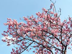 -白塘生态植物园