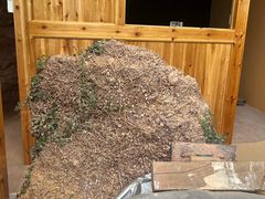 -天台山赤城山景区