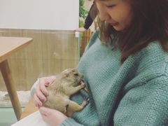 -藦茜花园宠物主题亲子互动体验馆(国顺东路店)