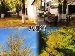 -莫干山风景区