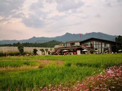 -禾悦庄餐厅