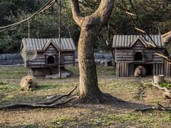 -上海野生动物园