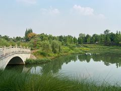 -眉山湿地公园(东坡区)