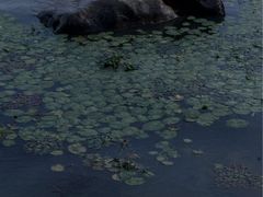 -蠡湖大桥公园