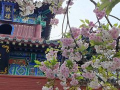 -洛阳白马寺