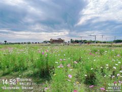 -敕勒川草原
