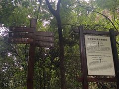 -武夷山风景名胜区-虎啸岩