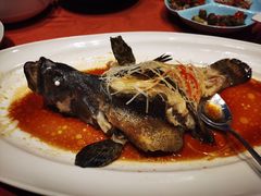 -船歌·鱼水饺青岛菜(闽江二路店)