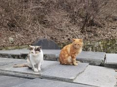 -终南山南五台景区