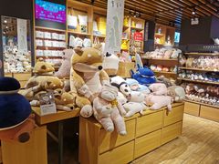 -九木杂物社(恒隆广场店)