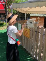 -萌宠亲子动物乐园(槐房万达店)