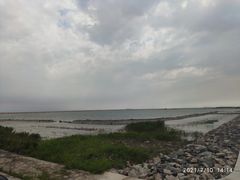 -碧海金沙