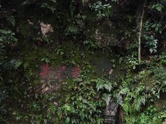 -十八棵（老龙井）御茶园(老龙井店)