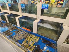-新洪记·丽久饭店(铁西店)