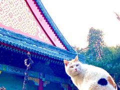 -颐和园