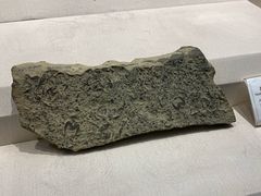 -辽宁古生物博物馆