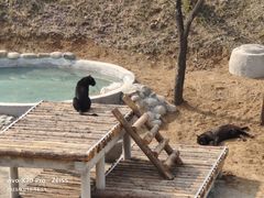 -石家庄市动物园