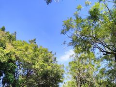 -华南师范大学(广州大学城校区)