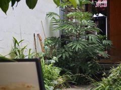 -大理床单厂艺术区
