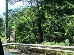 -海南热带雨林国家公园吊罗山景区