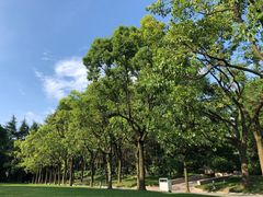 -宋庆龄陵园