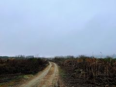 -平湖九龙山旅游度假区