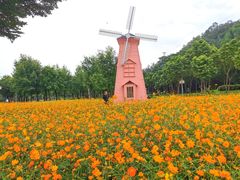 -顺峰山公园