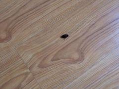 -金牛山大酒店(南北湖风景区店)