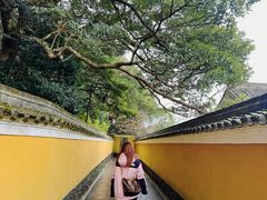 -普陀山风景区-佛顶山