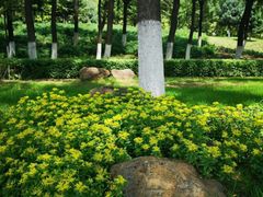 -长春世界雕塑园冰雪艺术天地