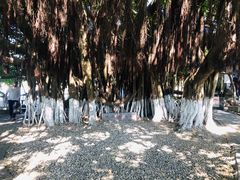 -胡里山炮台