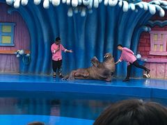 -华夏文旅海洋公园