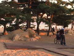 -老虎石海上公园