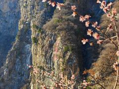 -圣莲山风景区