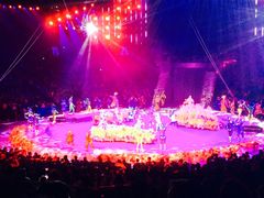 -珠海横琴长隆《卡卡虎奇遇记》