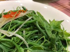 清香南瓜尖-巴依老爷新疆美食(清华东门店)