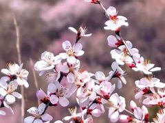 -BRAVO 赞·美艺术中心·系统美术·书法·艺考(双井校区)