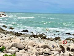 -广东惠东海龟国家级自然保护区