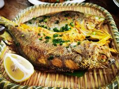 香煎黄花鱼-和记菜馆