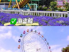 -百万葵园