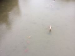 -郑州银基黄帝宫御温泉