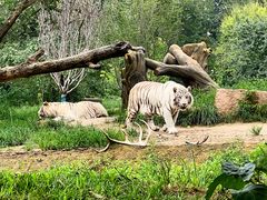 -北京野生动物园