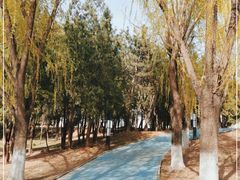 -青龙湖公园